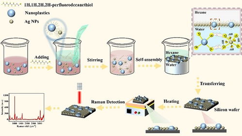 表面增強(qiáng)拉曼散射檢測(cè)新策略及其在自然科學(xué)研究和試驗(yàn)發(fā)展中的應(yīng)用前景